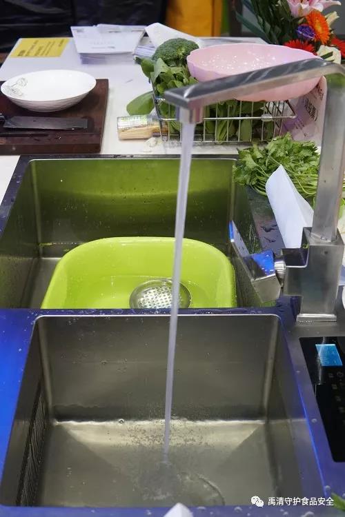 愛優生華食材淨化機